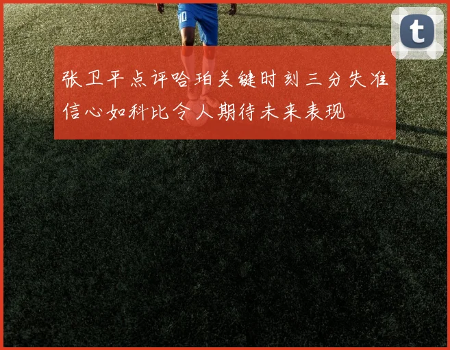张卫平点评哈珀关键时刻三分失准信心如科比令人期待未来表现